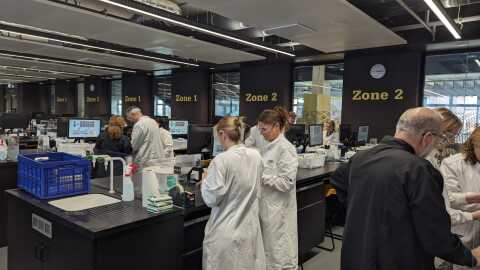 Working in the lab